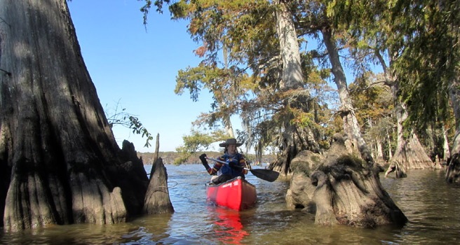 atchafalaya canoeist